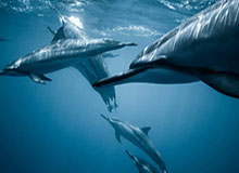 九游娱乐——开启你的极致游戏世界